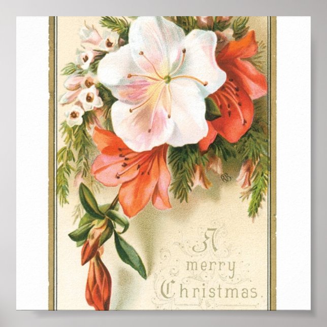 Julblommor Poster (Framsidan)