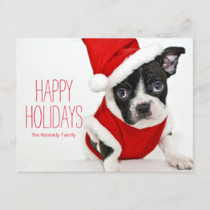 Julboston terrier helg vykort