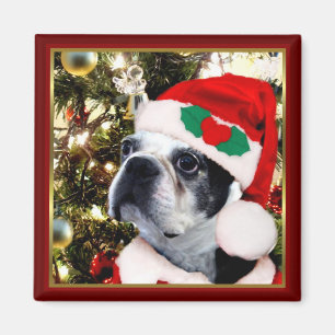 JulBoston terrier Magnet