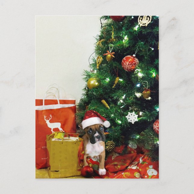 Julboxervalp Helg Vykort (Framsida)