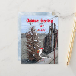 Julbpersienscenen Photo Fiskmås-Roligt Helg Vykort