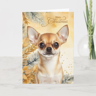 Julbrun Chihuahua Hund Gyllene Tallar Helgkort