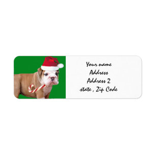 Julbulldoggsändningsetiketter Returadress Etikett