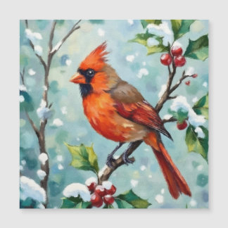 Julcardinal på en järnekvist