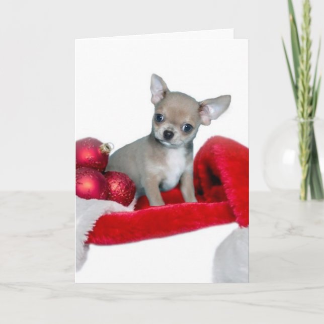 JulChihuahuahund Helgkort (Framsida)