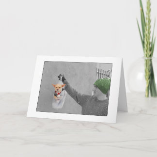 JULCHIHUAHUAKORT HELGKORT