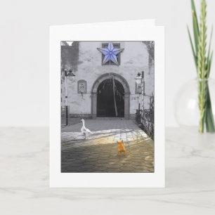 JULCHIHUAHUAKORT HELGKORT