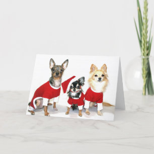 JulChihuahuas Helgkort
