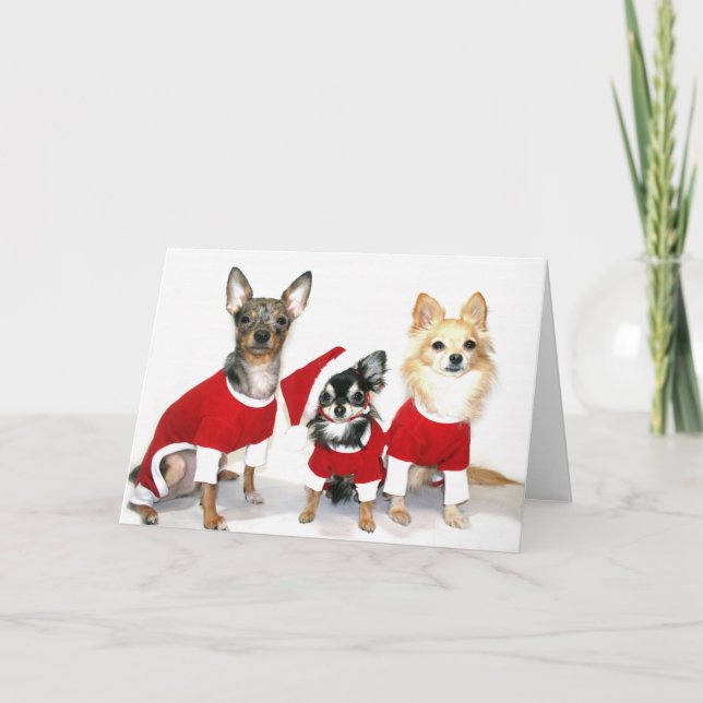 JulChihuahuas Helgkort (Framsida)