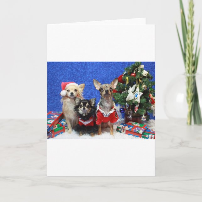 JulChihuahuas Helgkort (Framsida)