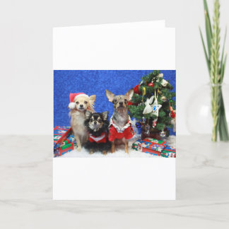 JulChihuahuas Helgkort