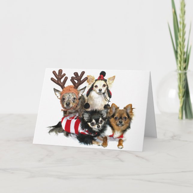 JulChihuahuas Helgkort (Framsida)