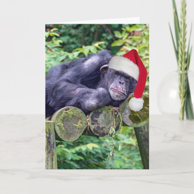 Julchimpanzan med tomten Hat Kort (Framsida)