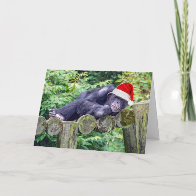 Julchimpanzan med tomten Hat Kort (Framsida)