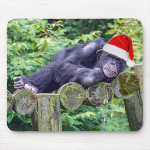 Julchimpanzan med tomten Hat Musmatta