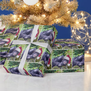 Julchimpanzan med tomten Hat Presentpapper