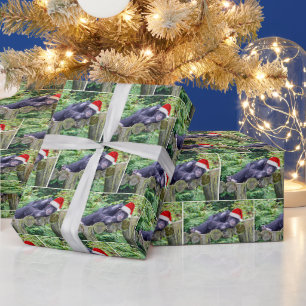 Julchimpanzan med tomten Hat Presentpapper