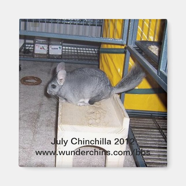 Julchinchilla 2012 magnet (Framsidan)