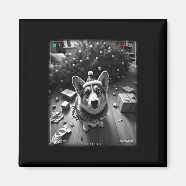 Julcorgi fångad på kamera  magnet (Framsidan)