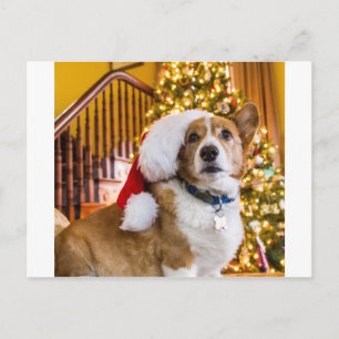 JulCorgi Helg Vykort