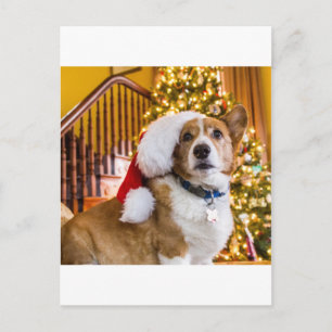 JulCorgi Helg Vykort