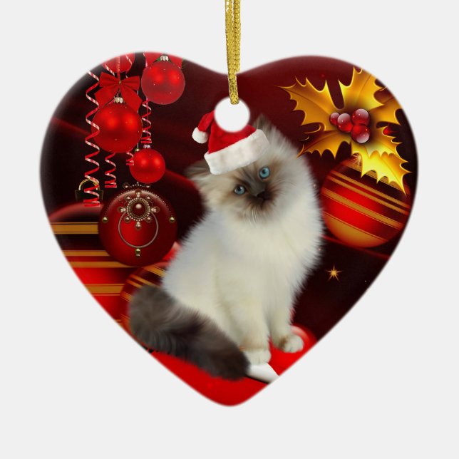 Juldekoration Katt Med Tomtehatt (Framsidan)