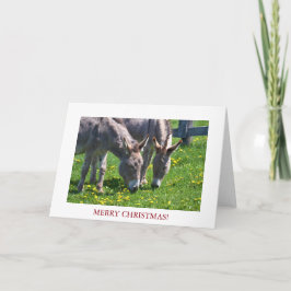 Juldjuret Donkey Helgkort