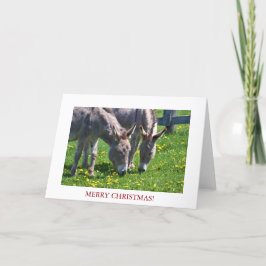 Juldjuret Donkey Helgkort