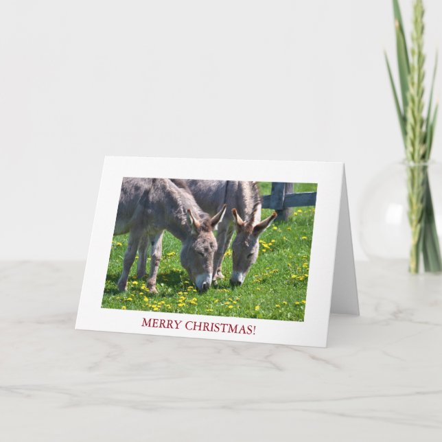 Juldjuret Donkey Helgkort (Framsida)