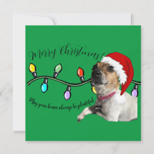 Juldogmkort Julkort