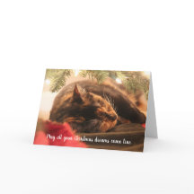 Juldrömmar sovande kaliko katt, personlig