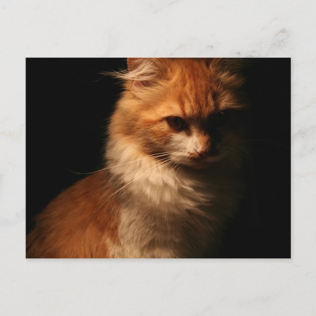 Jule Vykort (Framsida)