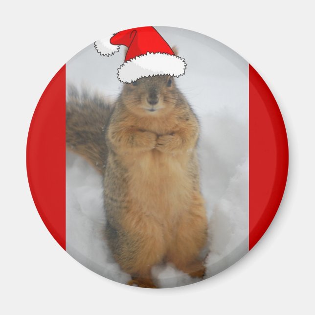 Julekorrar Magnet (Framsidan)