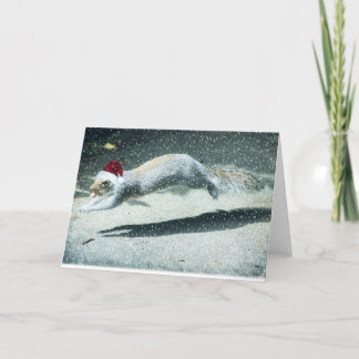 Julekorre Helgkort
