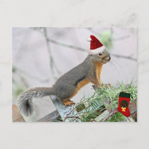 Julekorre med julklapp helg vykort