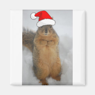 Julekorre med Santa Squirrel Magnet