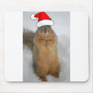 Julekorre med Santa Squirrel Musmatta