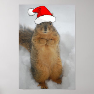 Julekorre Poster