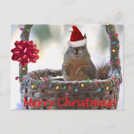 Julekorren i Basket med Snö Helg Vykort