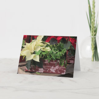 Julen boxas helgkort