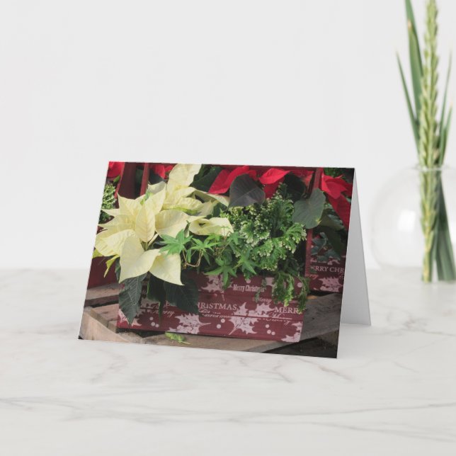 Julen boxas helgkort (Framsida)