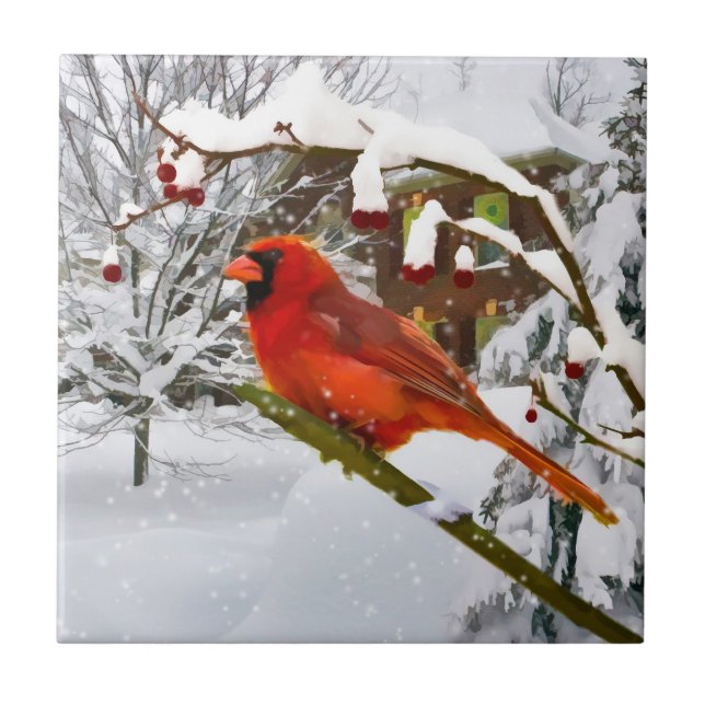 Julen den huvudsakliga fågeln, snö, belägger med kakelplatta (Framsidan)