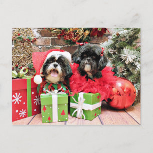 Julen - Shih Tzu - Riley och rufsar Helg Vykort