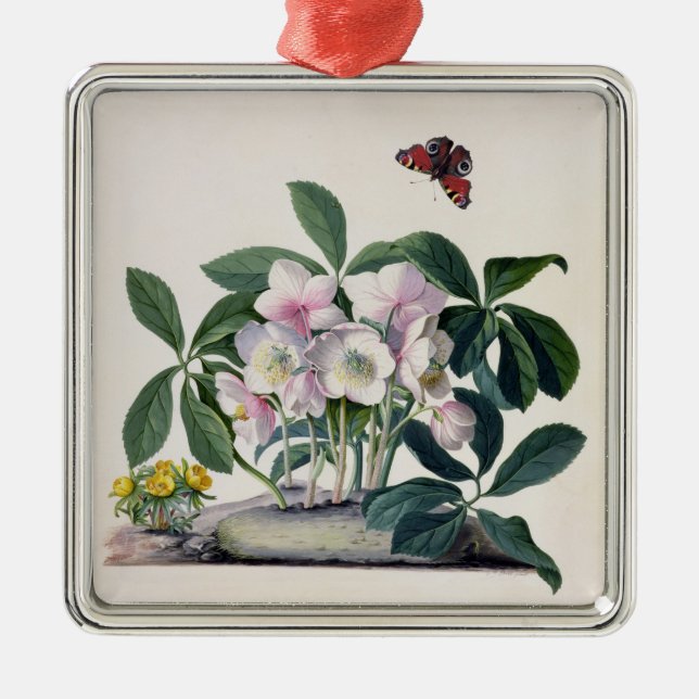 Julen steg (helleborusen niger) och vintern Aconi Julgransprydnad Metall (Framsidan)