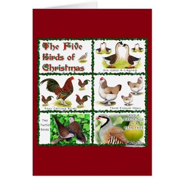 Julens fem fåglar OBS kort (Framsidan)