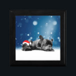 Julens Fransk Bulldog Puppies snö Tomhat Smyckeskrin<br><div class="desc">Cute Fransk Bulldog-valpar som sover i snö och bar tomhatt. Perfekt julklapp!</div>