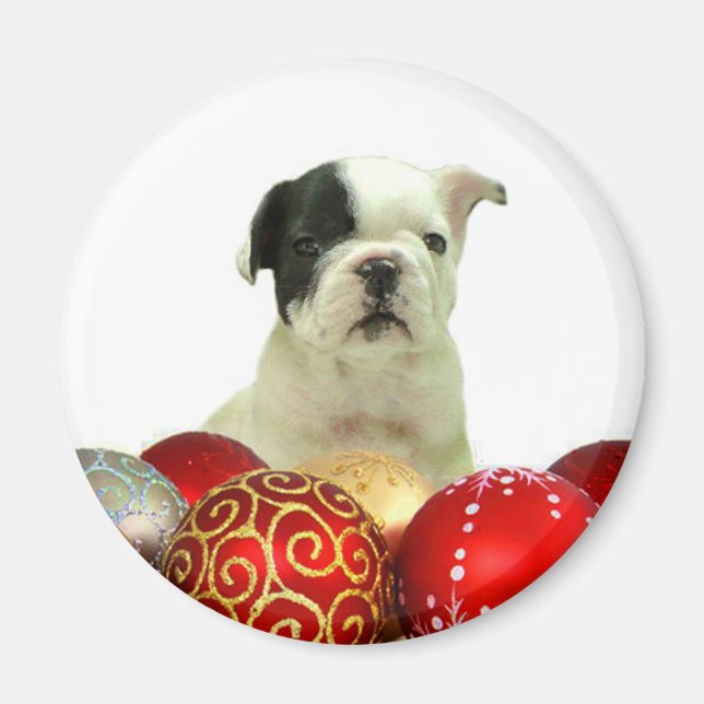 Julens Fransk Bulldog-valp Magnet (Framsidan)