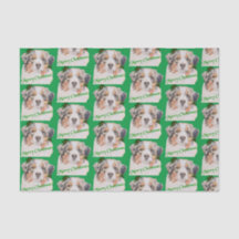 Julens Grönt Realistisk Australian shepherd