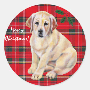 Julens Gult Labrador Puppy Tartan Runt Klistermärke