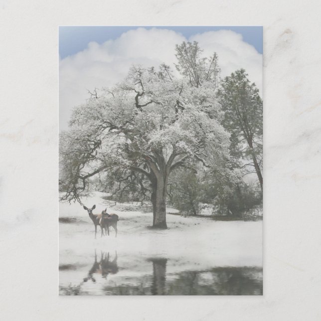 Julens Helgdag-kort med Hjort i Snö Helg Vykort (Framsida)
